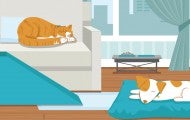 Illustration of a geriatric cat and dog in a home