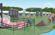 Illustration of a factory farm with man herding pigs into a truck, pollution and a family nearby