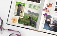 scrapbook showing photos of Mavrick the dog and Maverick's leash with tags