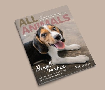 Cover of All Animals Magazine Winter 2023 Issue