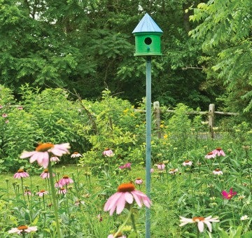 Birdhouse in a garden