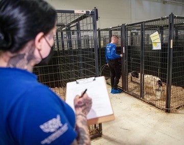 Animal care manager Katie DeMent slowly enters a kennel while behavior and enrichment specialist Vivienne Miller records a dog’s reaction.