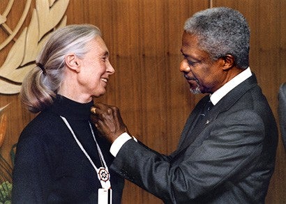 Dr. Goodall being named a United Nations Messenger of Peace by Kofi Annan.
