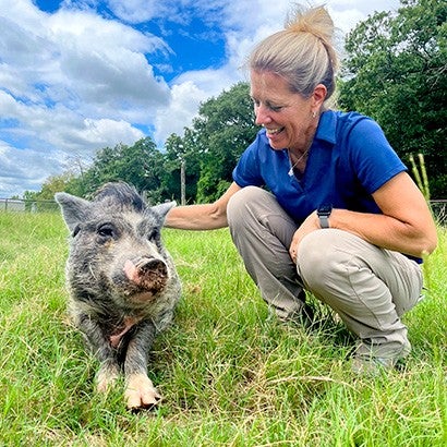 Sue with a pig