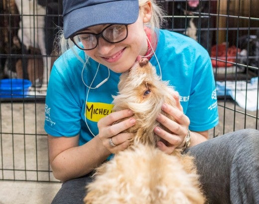 HSUS volunteer cuddling a dog at a temporary emergency shelter to care for animals displaced by the California wildfires in 2018.