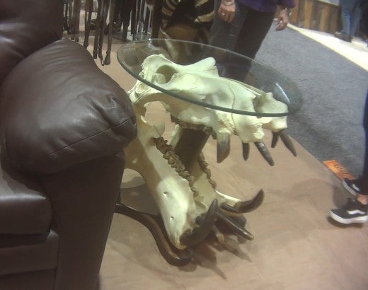 Hippo skull table at the Safari Club International convention