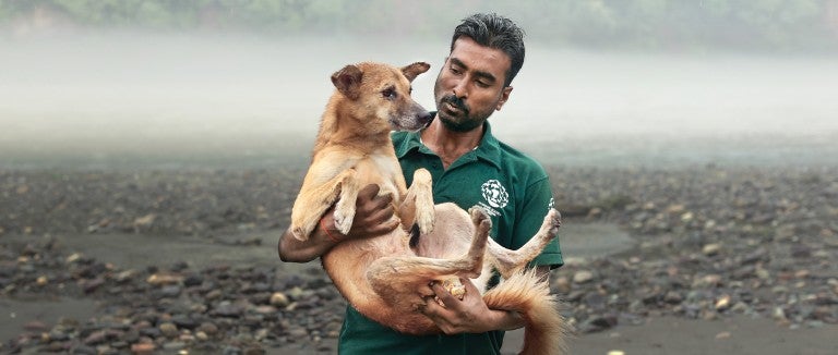 A man holds a community dog using the hand-catching technique on the street in Rishikesh, India,.