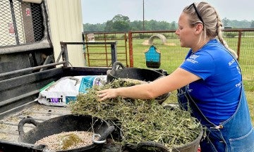 Black Beauty staff takes animal feed from the back of a truck.
